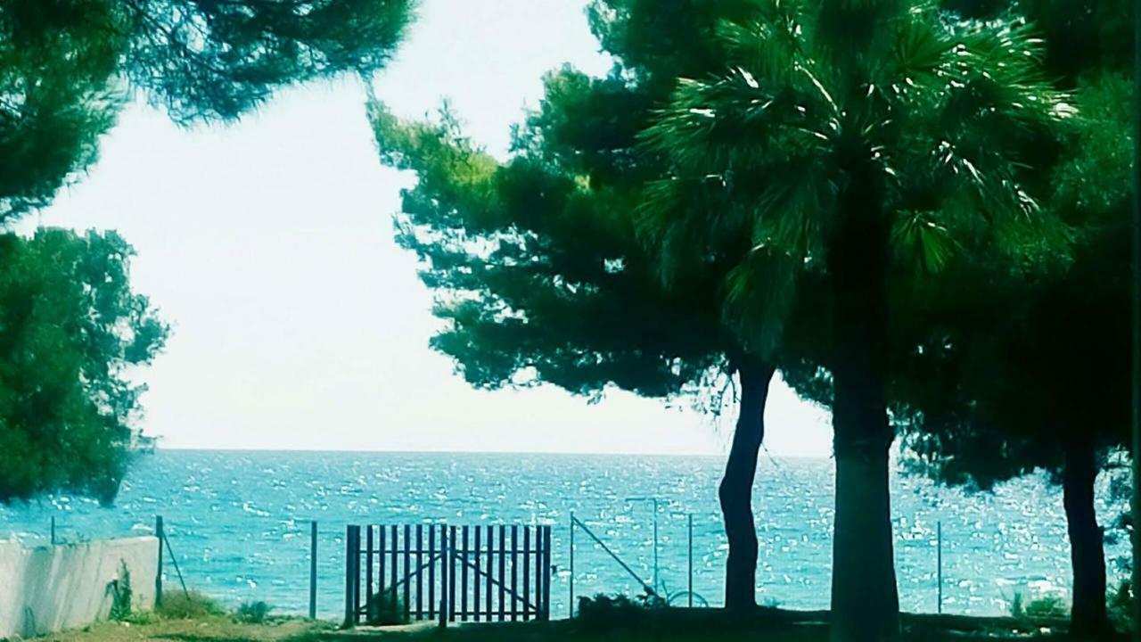 Seafront Villa Joan Nea Skioni Dış mekan fotoğraf
